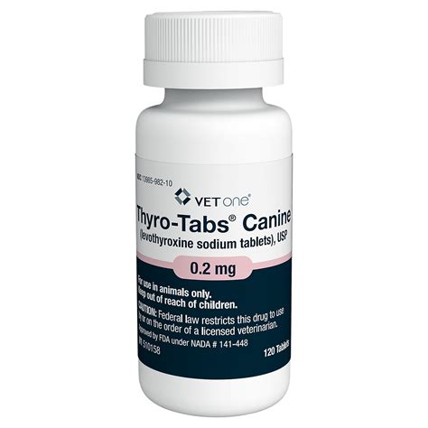 levothyroxine seo