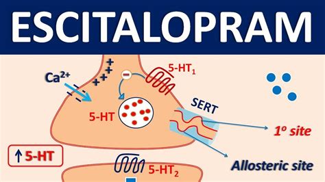 Lexapro mechanism of action