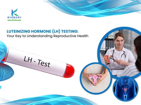 LH Hormone Testing