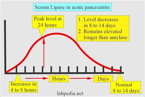 Lipase Test and Pancreatitis