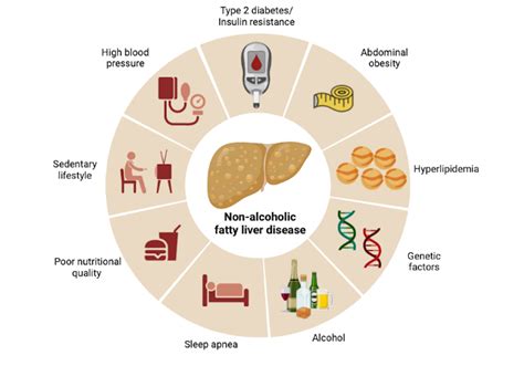 Liver Disease: Causes and Risk Factors
