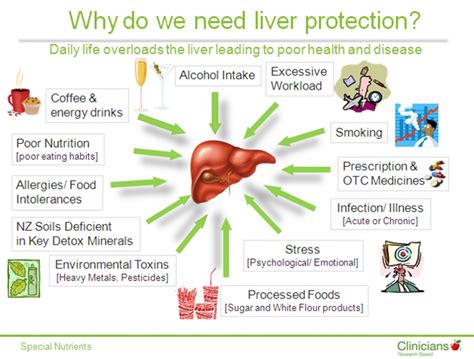 Liver disease prevention and treatment