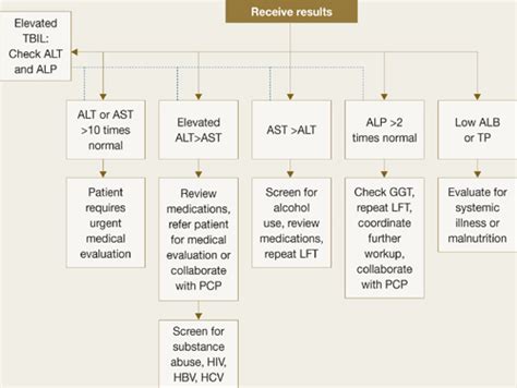 Liver Function Test Interpretation