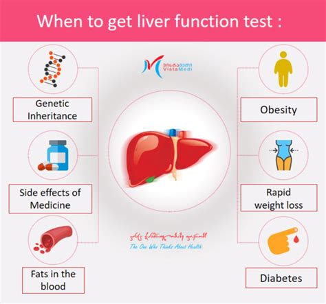 liver panel test