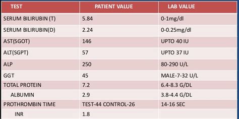 Liver Panel Test Preparation