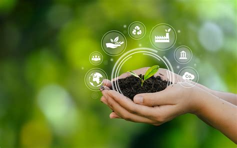 long-term effects and sustainability