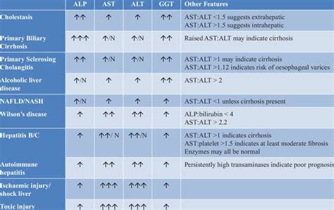 Lovastatin liver enzyme elevations