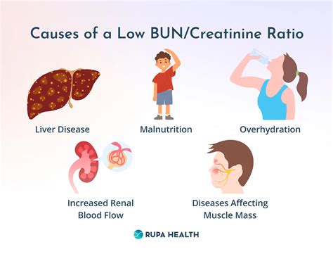 Low Bun Blood Test Results