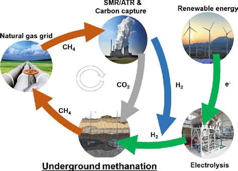 Low Carbon Dioxide Blood Test Results