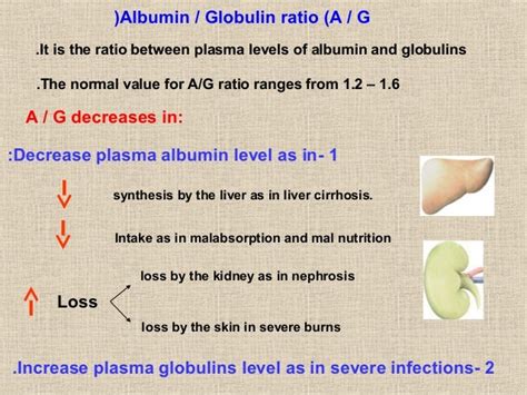 Low Globulin Levels