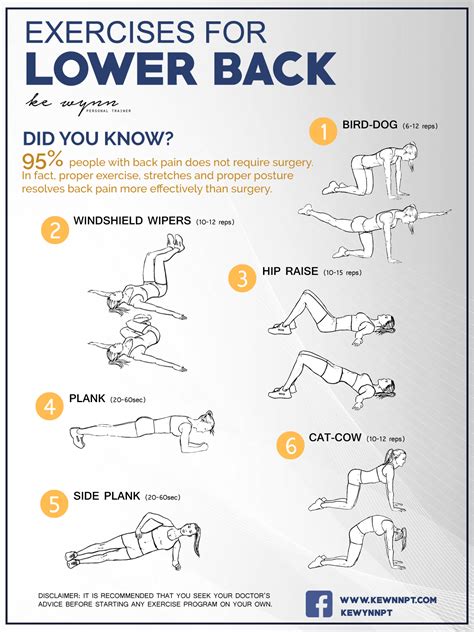 lower back exercise program