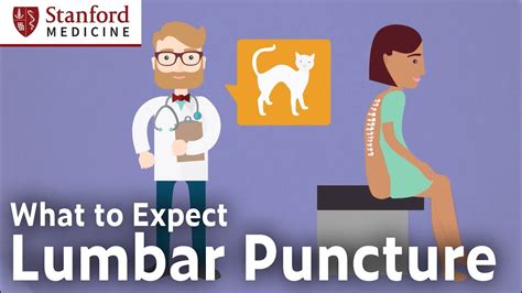 Lumbar Puncture Expect