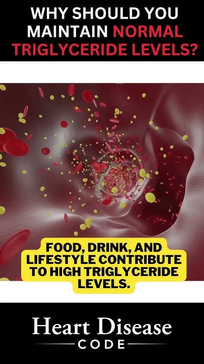 Maintain Normal Triglycerides
