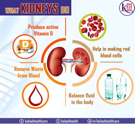 maintaining healthy kidney function