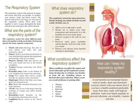 Maintenance of Good Respiratory Health