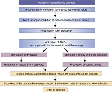 Managing metformin-induced sleepiness