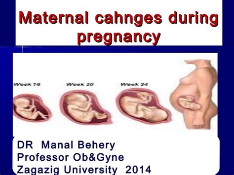 Maternal Changes