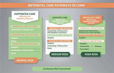 maternity care options