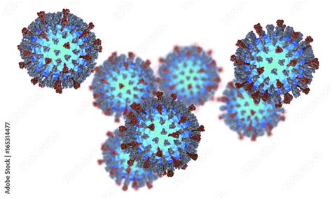 Measles Virus