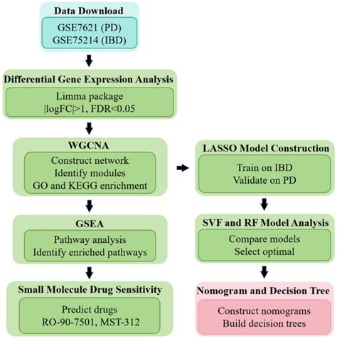 Mechanism of action of hydrocodone