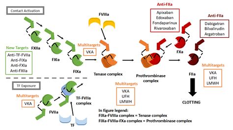 Mechanism of action