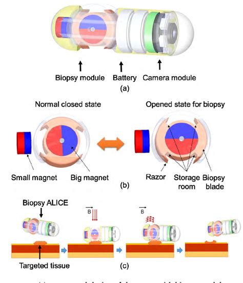 mechanisms of capsule endoscopy camera
