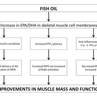 Mechanisms of Fish Oil in Blood Thinning