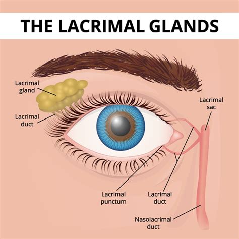 medical treatments for clogged eye duct