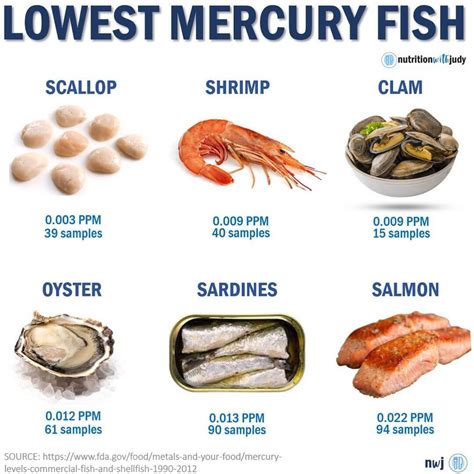 Foods high in mercury