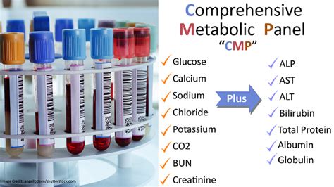 metabolic panel benefits