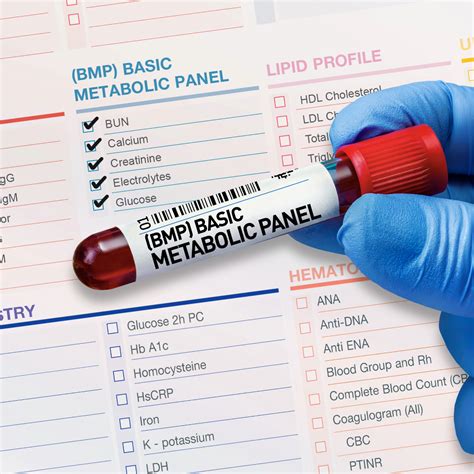 metabolic panel test