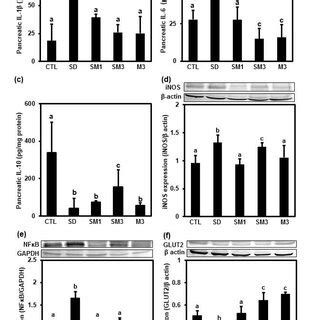 Metformin-induced sleepiness