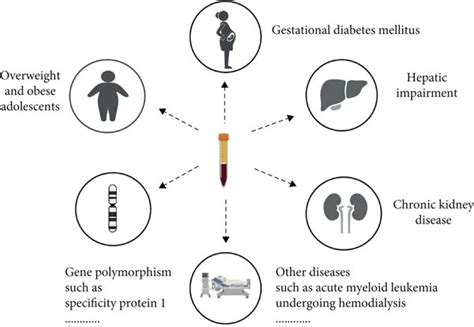 metformin use in special populations