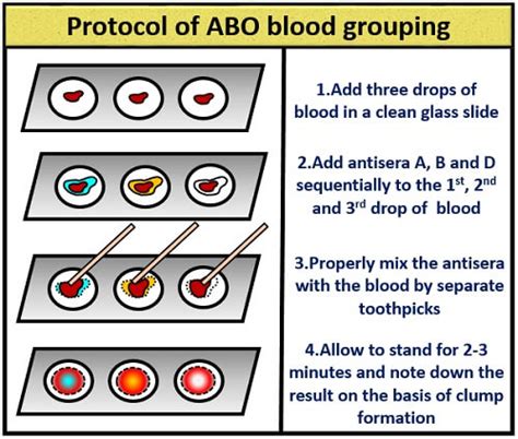 Methods to Find Blood Group