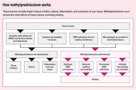 Methylprednisolone and Breastfeeding