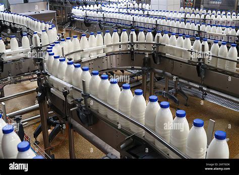 milk production