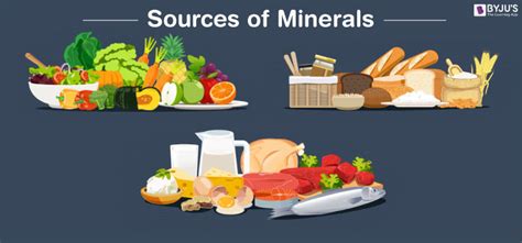 mineral food sources