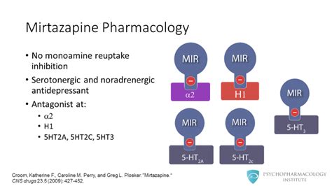 Mirtazapine Combination Therapy