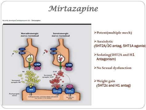 Mirtazapine Interactions