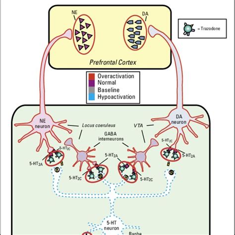 Mirtazapine Mechanism of Action