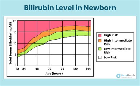 Monitoring Newborn Bilirubin Levels
