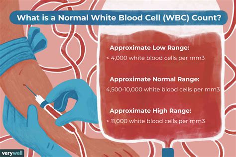 monitoring white blood count