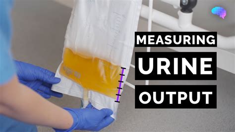 urine output