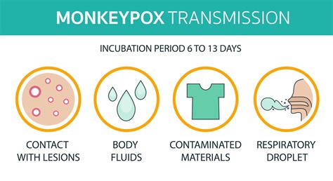 Monkeypox transmission image