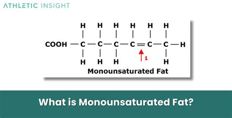monounsaturated fats