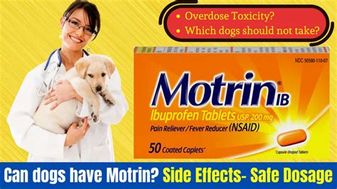Motrin Benefits and Risks