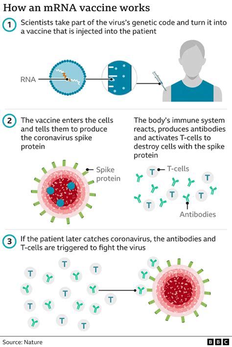 mRNA vaccine