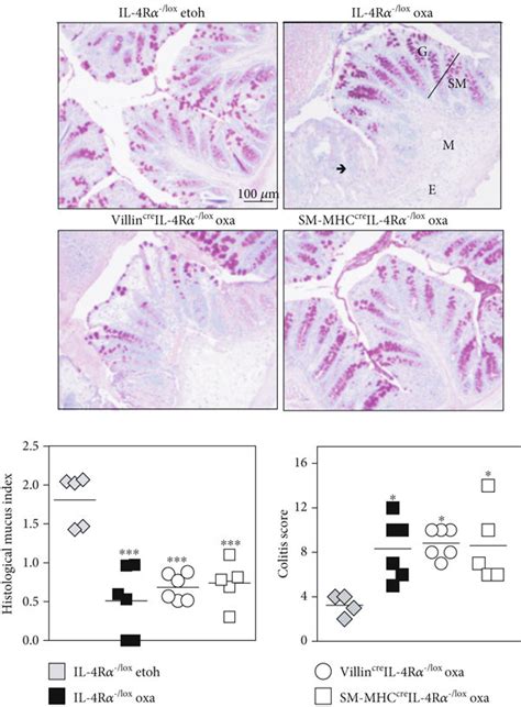 Mucus production in the body