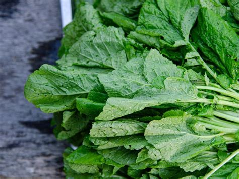 mustard greens