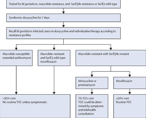 Mycoplasma Genitalium Infection Treatment Options